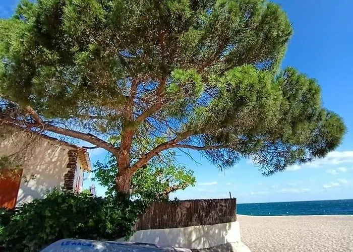 Pavillon Cosy 4 Pers, 500m Plage, Jardinet, Proche Commerces, Parking Securise - Fr-1-776-13 *